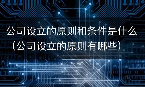公司设立的原则和条件是什么（公司设立的原则有哪些）
