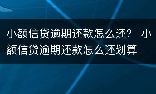 小额信贷逾期还款怎么还？ 小额信贷逾期还款怎么还划算