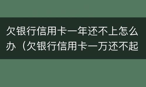 欠银行信用卡一年还不上怎么办（欠银行信用卡一万还不起怎么办）