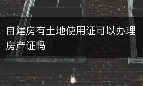 自建房有土地使用证可以办理房产证吗
