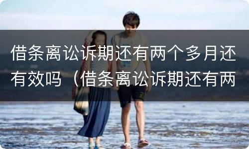 借条离讼诉期还有两个多月还有效吗（借条离讼诉期还有两个多月还有效吗怎么办）