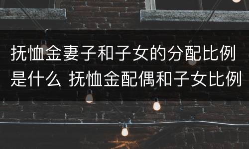 抚恤金妻子和子女的分配比例是什么 抚恤金配偶和子女比例