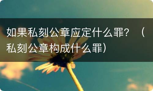 如果私刻公章应定什么罪？（私刻公章构成什么罪）