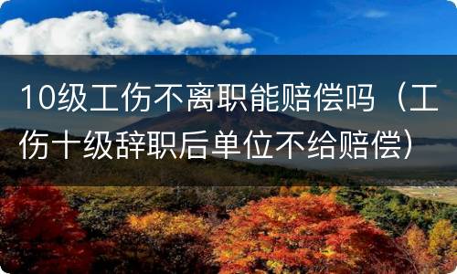 10级工伤不离职能赔偿吗（工伤十级辞职后单位不给赔偿）