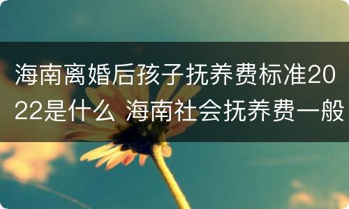 海南离婚后孩子抚养费标准2022是什么 海南社会抚养费一般多少钱