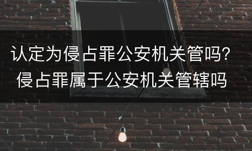 认定为侵占罪公安机关管吗？ 侵占罪属于公安机关管辖吗