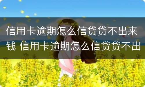 信用卡逾期怎么信贷贷不出来钱 信用卡逾期怎么信贷贷不出来钱呢