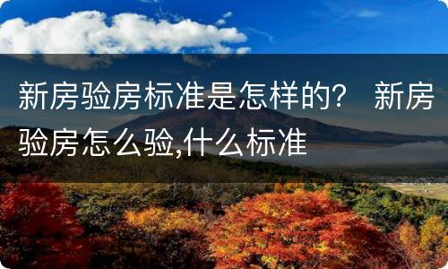 新房验房标准是怎样的？ 新房验房怎么验,什么标准