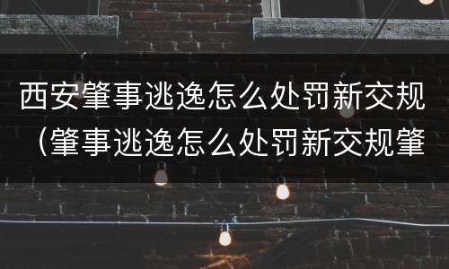 西安肇事逃逸怎么处罚新交规（肇事逃逸怎么处罚新交规肇事逃逸违反条款）
