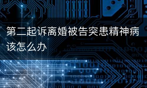 第二起诉离婚被告突患精神病该怎么办