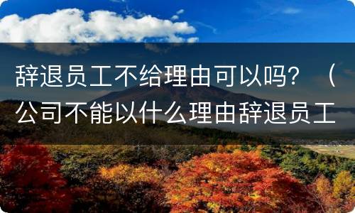 辞退员工不给理由可以吗？（公司不能以什么理由辞退员工）