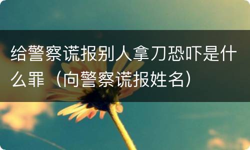 给警察谎报别人拿刀恐吓是什么罪（向警察谎报姓名）
