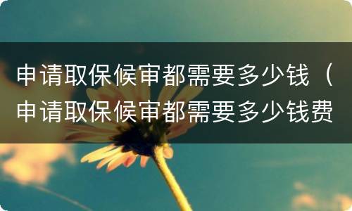 申请取保候审都需要多少钱（申请取保候审都需要多少钱费用）