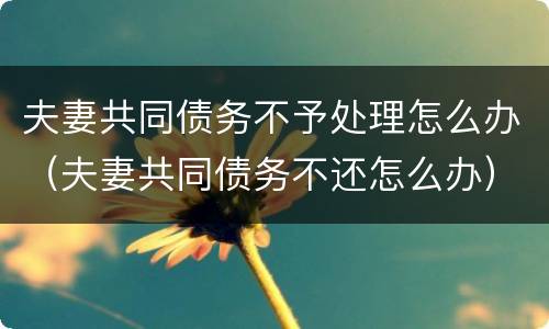 夫妻共同债务不予处理怎么办（夫妻共同债务不还怎么办）