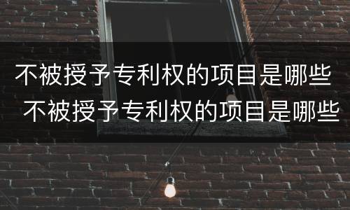 不被授予专利权的项目是哪些 不被授予专利权的项目是哪些呢