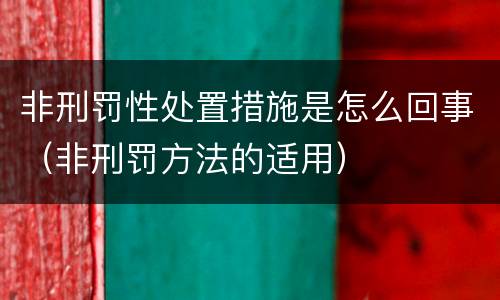 非刑罚性处置措施是怎么回事（非刑罚方法的适用）