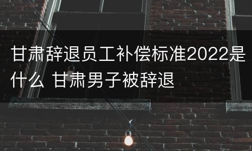 甘肃辞退员工补偿标准2022是什么 甘肃男子被辞退