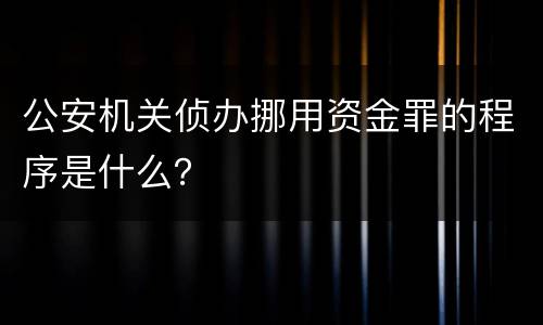 公安机关侦办挪用资金罪的程序是什么？