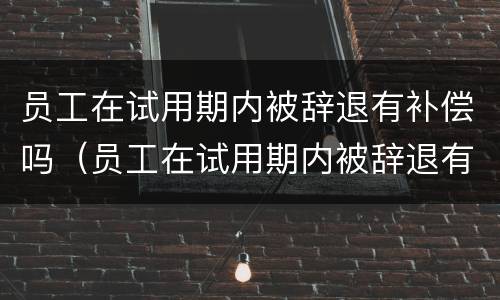 员工在试用期内被辞退有补偿吗（员工在试用期内被辞退有补偿吗怎么办）