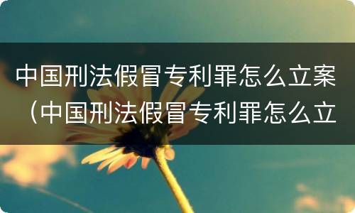 中国刑法假冒专利罪怎么立案（中国刑法假冒专利罪怎么立案的）