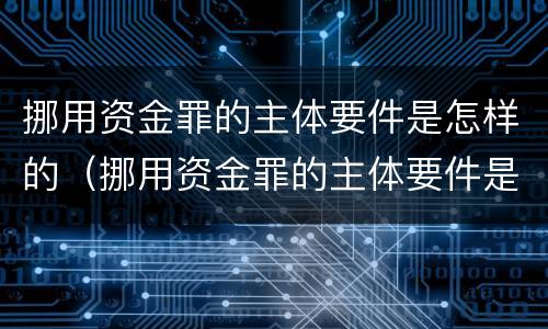 挪用资金罪的主体要件是怎样的（挪用资金罪的主体要件是怎样的）