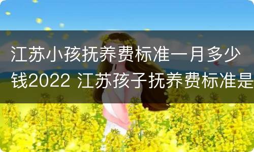 江苏小孩抚养费标准一月多少钱2022 江苏孩子抚养费标准是多少