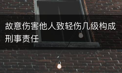 故意伤害他人致轻伤几级构成刑事责任