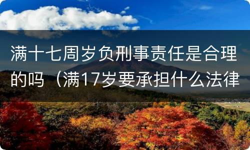 满十七周岁负刑事责任是合理的吗（满17岁要承担什么法律责任）