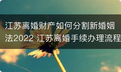 江苏离婚财产如何分割新婚姻法2022 江苏离婚手续办理流程