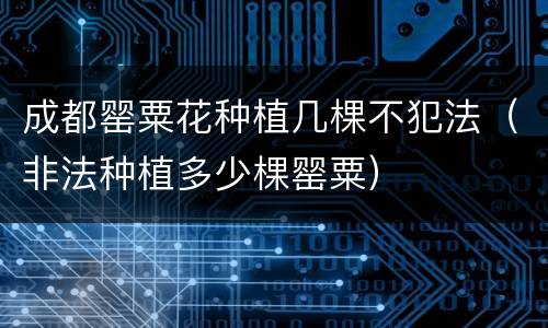 成都罂粟花种植几棵不犯法（非法种植多少棵罂粟）