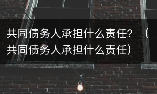 共同债务人承担什么责任？（共同债务人承担什么责任）