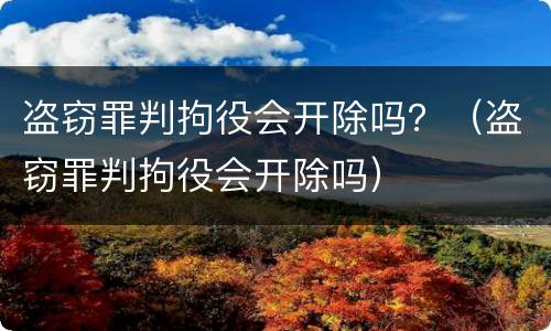 盗窃罪判拘役会开除吗？（盗窃罪判拘役会开除吗）