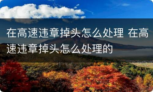 在高速违章掉头怎么处理 在高速违章掉头怎么处理的