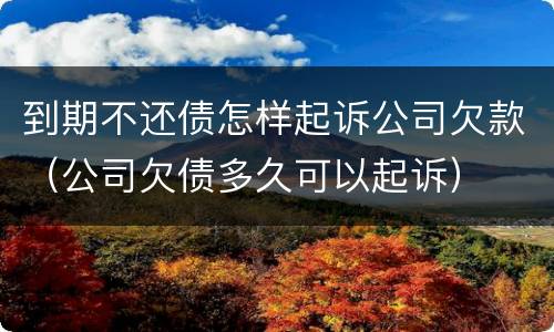 到期不还债怎样起诉公司欠款（公司欠债多久可以起诉）