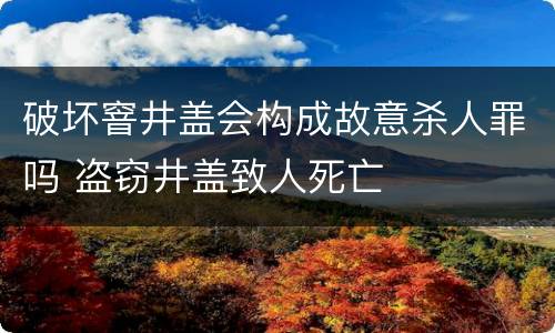 破坏窨井盖会构成故意杀人罪吗 盗窃井盖致人死亡