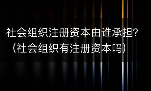 社会组织注册资本由谁承担？（社会组织有注册资本吗）