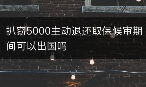 扒窃5000主动退还取保候审期间可以出国吗