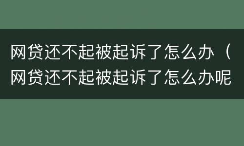 网贷还不起被起诉了怎么办（网贷还不起被起诉了怎么办呢）