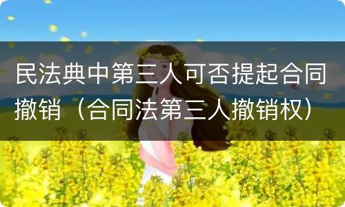 民法典中第三人可否提起合同撤销（合同法第三人撤销权）