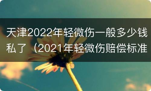 天津2022年轻微伤一般多少钱私了（2021年轻微伤赔偿标准）