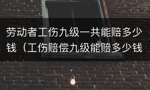 劳动者工伤九级一共能赔多少钱（工伤赔偿九级能赔多少钱）