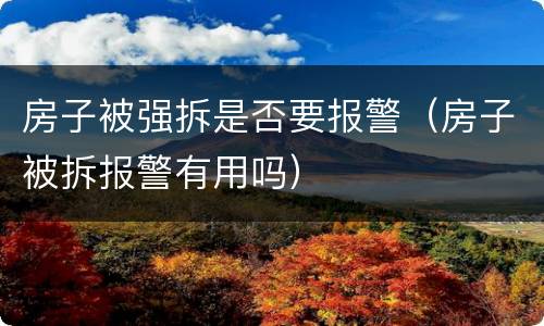 房子被强拆是否要报警（房子被拆报警有用吗）