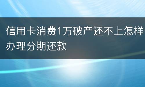 信用卡消费1万破产还不上怎样办理分期还款