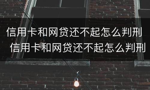 信用卡和网贷还不起怎么判刑 信用卡和网贷还不起怎么判刑呢