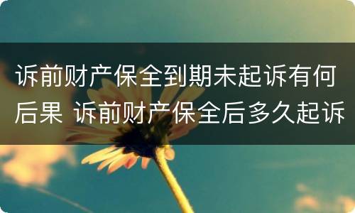 诉前财产保全到期未起诉有何后果 诉前财产保全后多久起诉