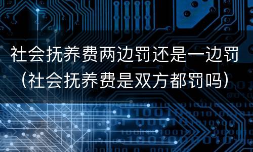 社会抚养费两边罚还是一边罚（社会抚养费是双方都罚吗）