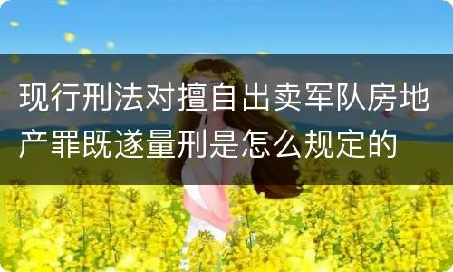 现行刑法对擅自出卖军队房地产罪既遂量刑是怎么规定的