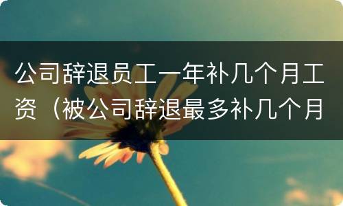 公司辞退员工一年补几个月工资（被公司辞退最多补几个月工资）