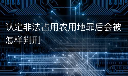 认定非法占用农用地罪后会被怎样判刑