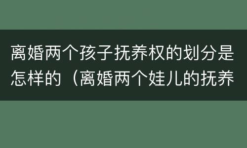 离婚两个孩子抚养权的划分是怎样的（离婚两个娃儿的抚养权怎么办）